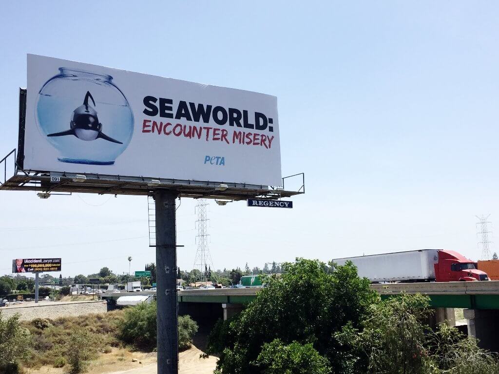 Anti-Seaworld protest billboard.