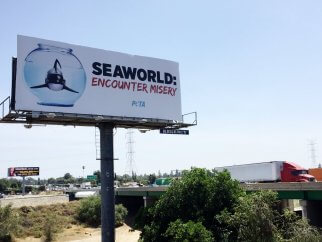 Anti-Seaworld billboard. reading: SeaWorld: Encounter Misery