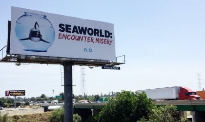 Anti-Seaworld billboard. reading: SeaWorld: Encounter Misery