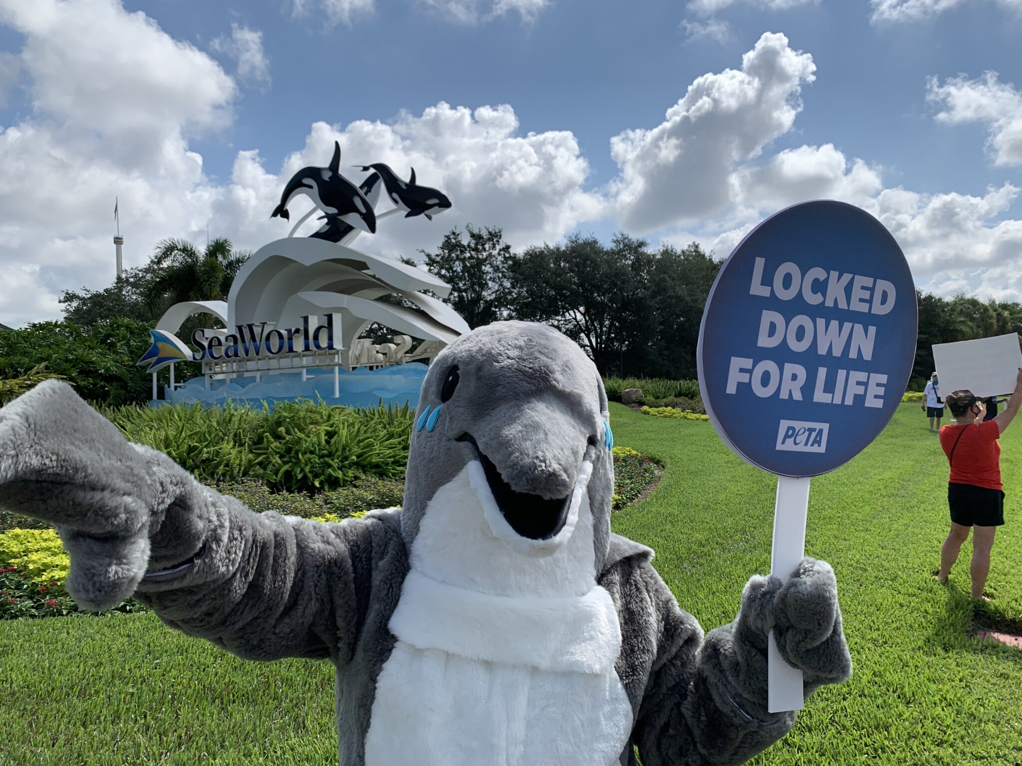 PETA’s Campaign to Save the Whales and Dolphins at SeaWorld