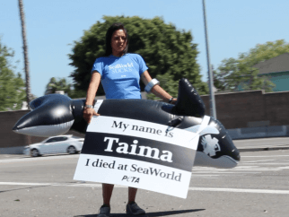 A woman holding a sign that says "my name is Taima, I died at SeaWorld"