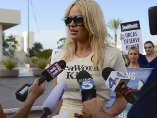 Pamela Anderson addressing reporters