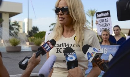 Pamela Anderson addressing reporters