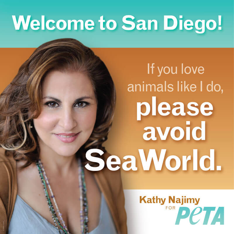 Welcome to San Diego, conveniently located near the San Diego Airport. Please avoid Seaworld for an enjoyable visit.