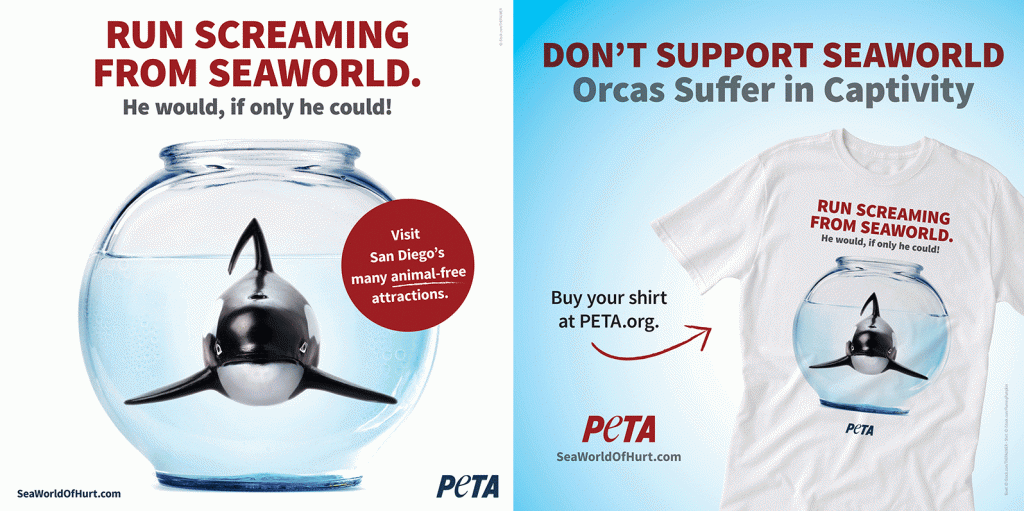 Run screaming world from orca suffocation in San Diego Airport t-shirt.