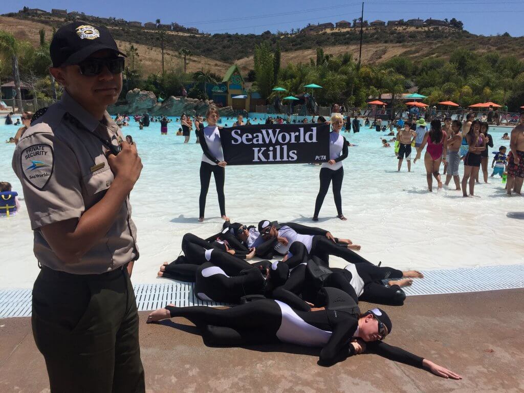 A group of people laying down in a pool with a sign that says SeaWorld kills Aquatica.