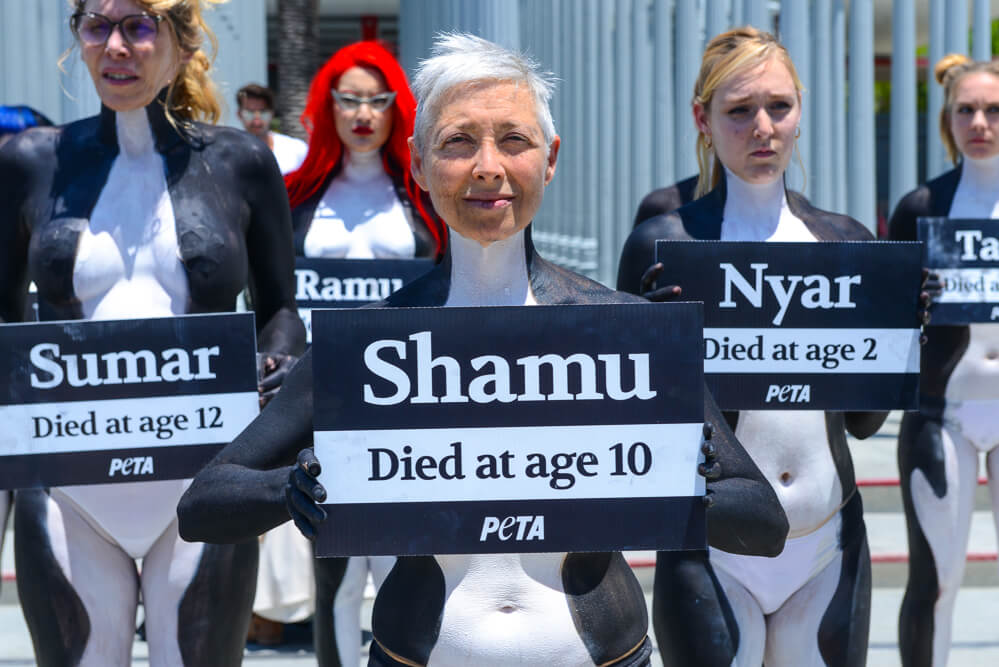 A group of people holding signs that say shamu died at age 10.