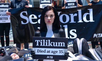 Protester holding sign reading Tilikum died at age 35