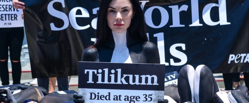 Protester holding sign reading Tilikum died at age 35
