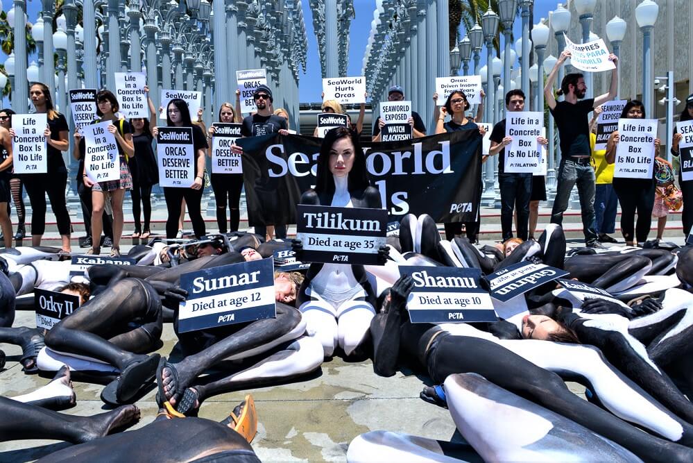 A group of people laying on the ground holding signs.