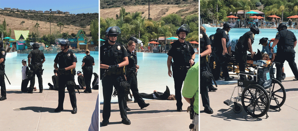 SeaWorld staff respond to a woman in a wheelchair at Aquatica pool.