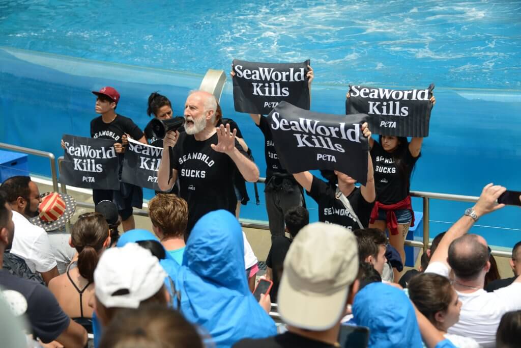 James Cromwell addressing a crowd of people at SeaWorld