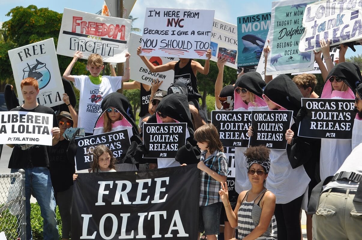 lolita, demo, protest, 47th anniversary of lolitas capture, miami seaquarium