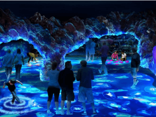 people enjoy a fish-free aquarium