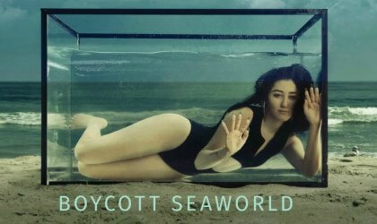 Noah Cyrus stars in a PETA anti-SeaWorld ad