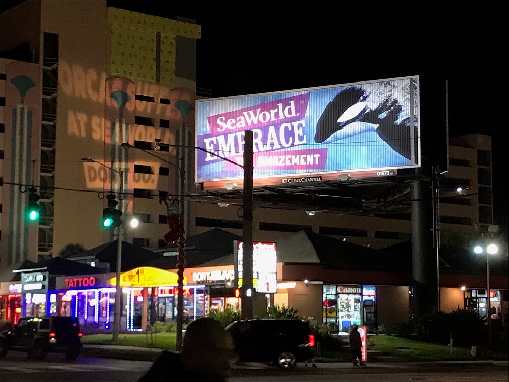 A mesmerizing billboard, reminiscent of the Bat signal, illuminating Seaworld's allure at night.