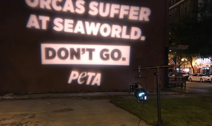 PETA projects an anti-SeaWorld message onto the side of a building