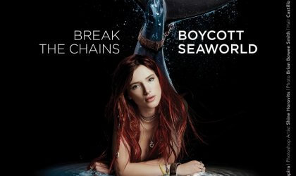 Bella Thorne Break the Chains Seaworld poster.