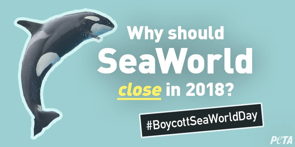 Why should #boycottseaworldday be the reason for Seaworld's closure in 2018?