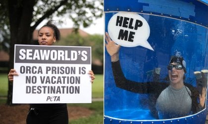On #boycottseaworldday, a woman holds a sign that reads, "SeaWorld's orca prison is no vacation destination."
