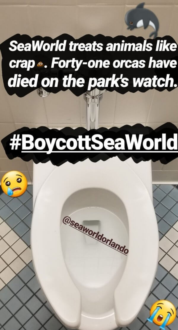 Seaworld treats animals like crap one orcas have died #boycottseaworldday.