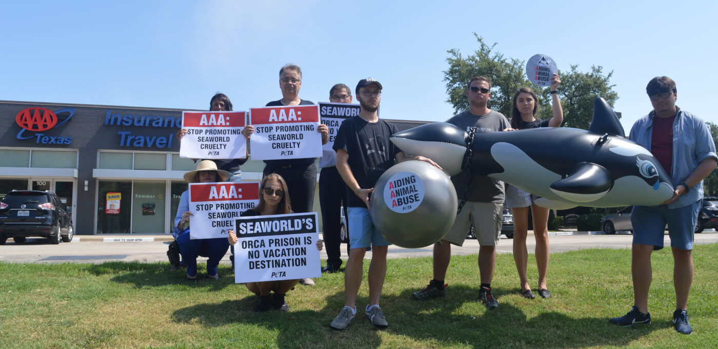 A group of people holding AAA signs in front of a travel agency.