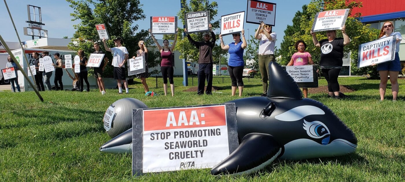 A group of people holding signs in front of an AAA.