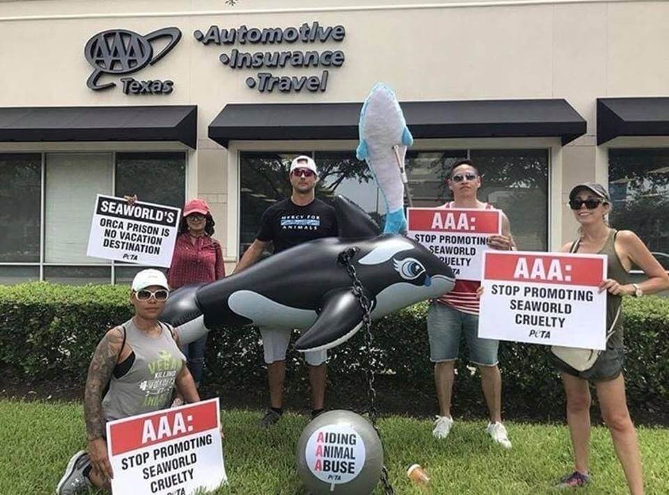 A group of people holding balloons and signs in front of an AAA office.