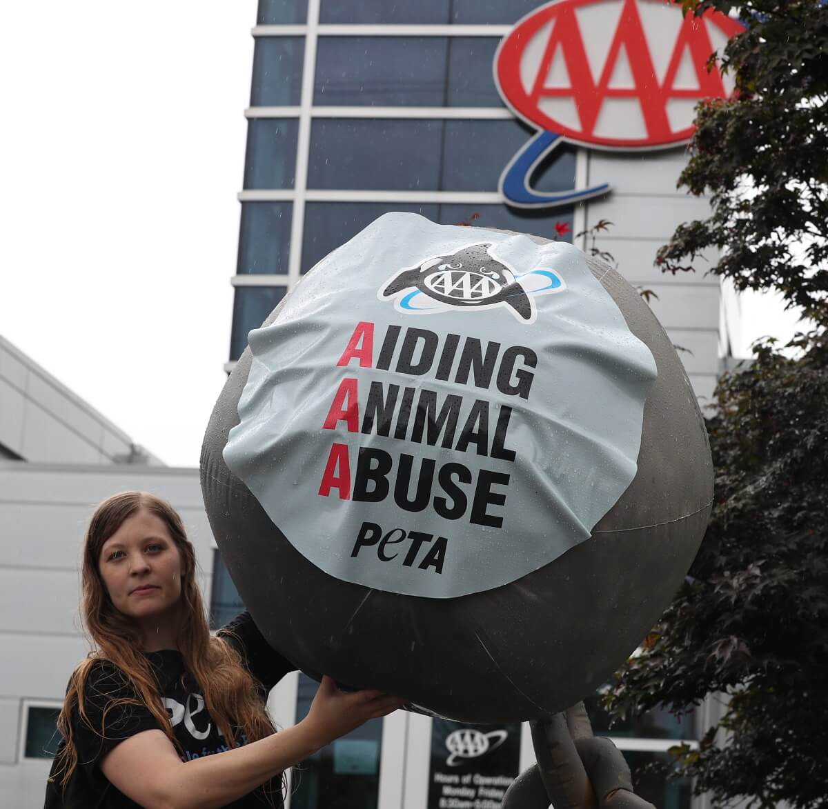 A woman holding up a large ball that says animal abuse AAA.
