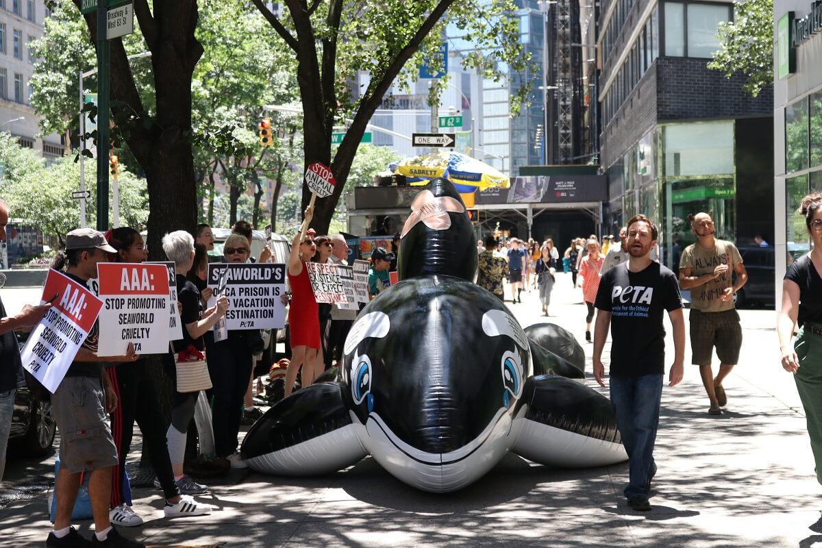 A group of people holding AAA signs in front of a large inflatable whale.