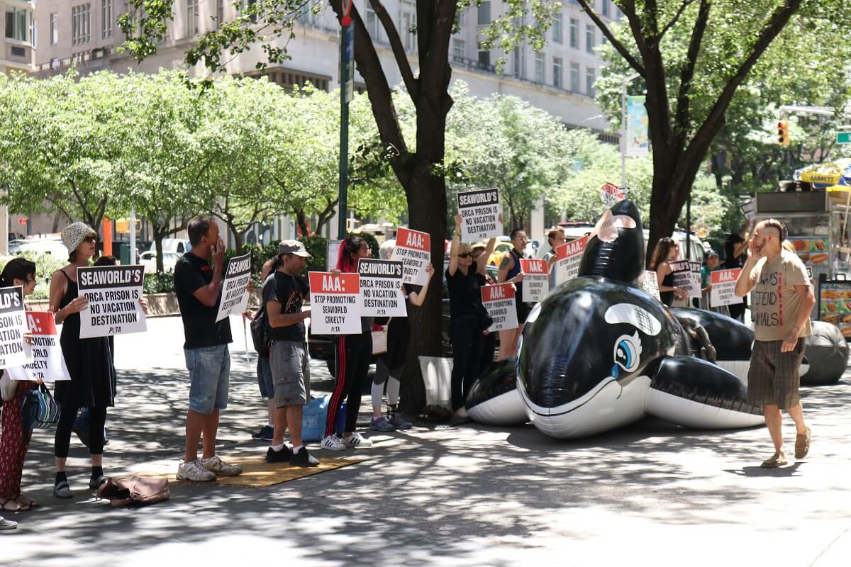 A group of people holding AAA signs in front of a large inflatable whale.