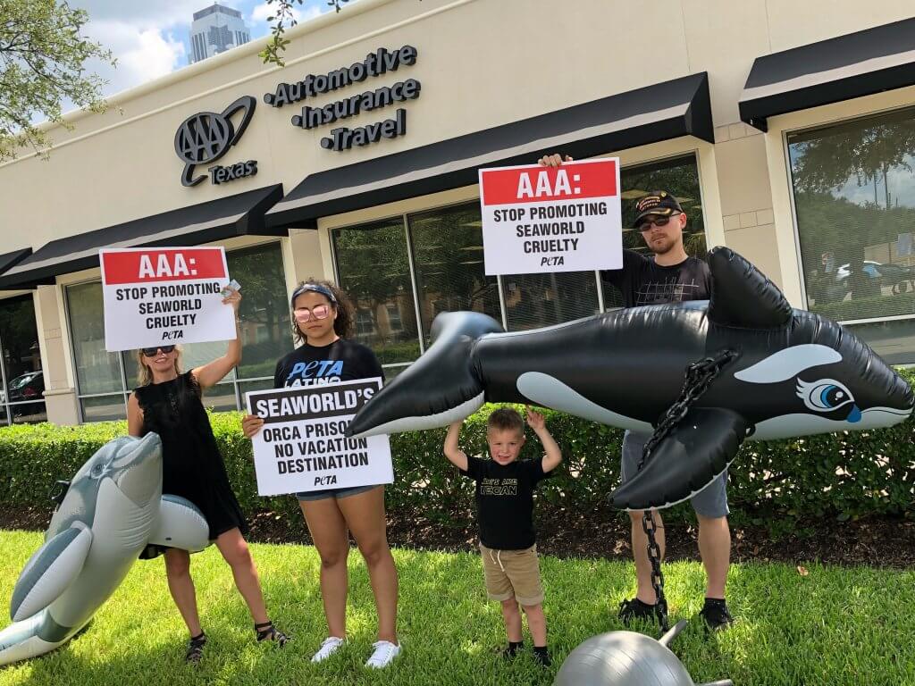 Protesters holding inflatable orca and signs asking AAA to stop promoting SeaWorld