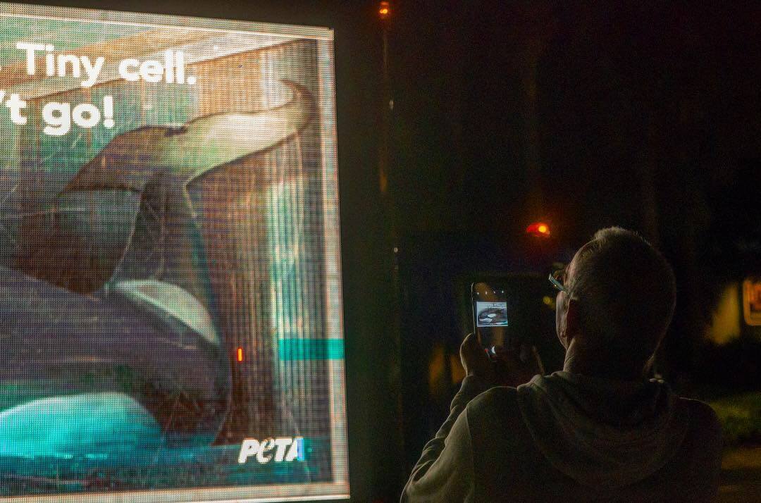 SeaWorld Billboard action