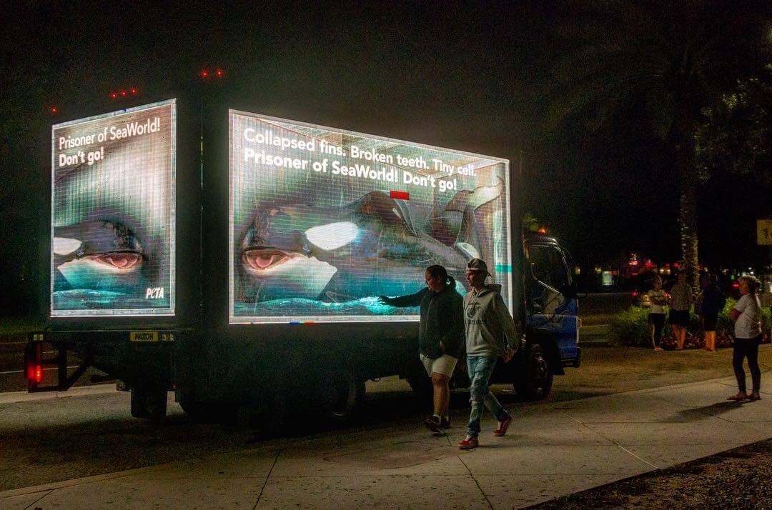 SeaWorld Billboard action