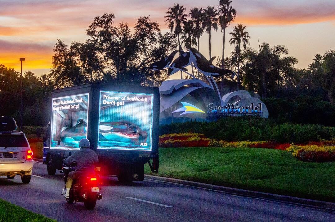 SeaWorld Billboard action