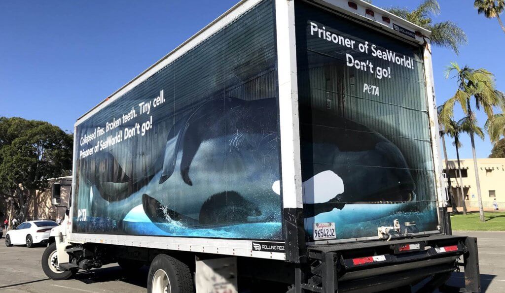 Semi with life-sized "orca" and plea not to go to SeaWorld