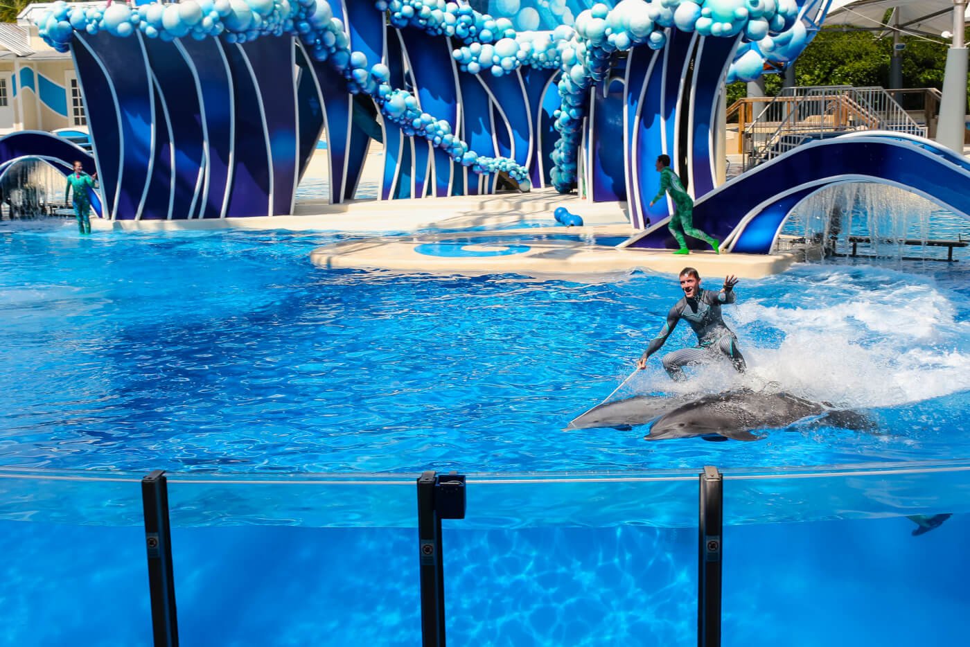 man on top of two dolphins swimming in a tank at seaworld