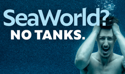 a PETA ad showing Eric Balfour submerged and stressed, with the words "SeaWorld? No Tanks."