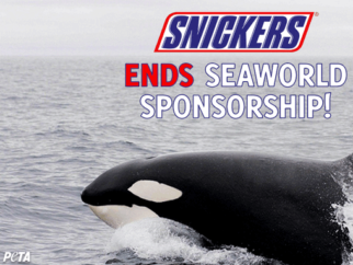 snickers seaworld sponsorship ends