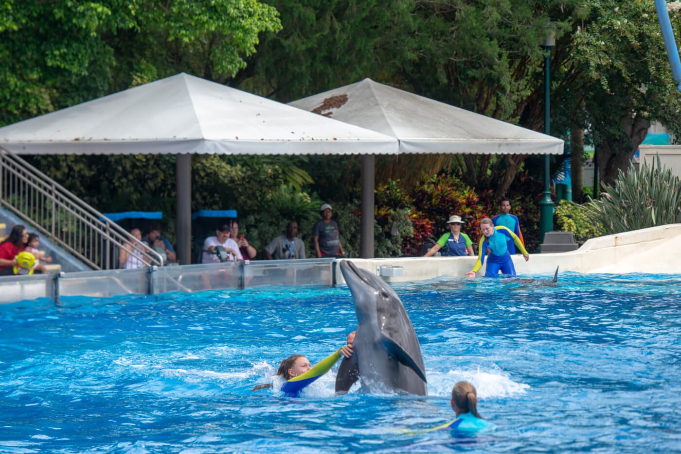 A group of people watching Corky the orca perform.