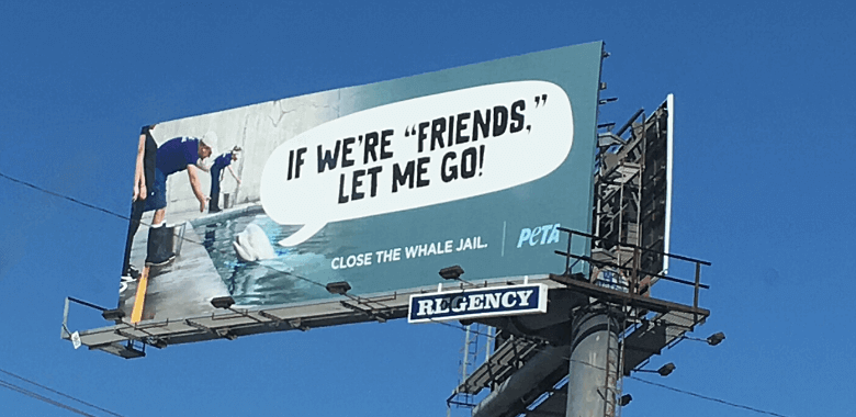 peta ad to save the whales at SeaWorld