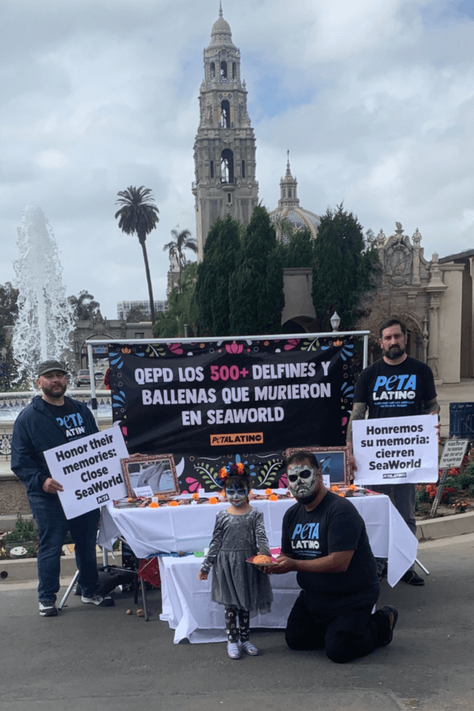 PETA Latino SeaWorld Ofrenda 2022 on Día de los Muertos in Plaza de Panamá, Balboa Park, San Diego