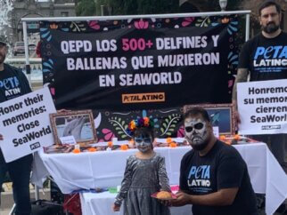 PETA Latino SeaWorld Ofrenda 2022 on Día de los Muertos in Plaza de Panamá, Balboa Park, San Diego