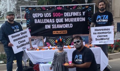 PETA Latino SeaWorld Ofrenda 2022 on Día de los Muertos in Plaza de Panamá, Balboa Park, San Diego