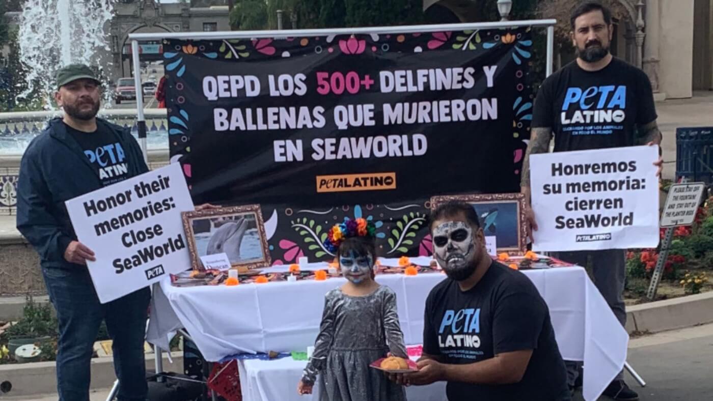 SeaWorld Ofrenda 2022 Vigil for Dolphins and Whales Who Died at SeaWorld