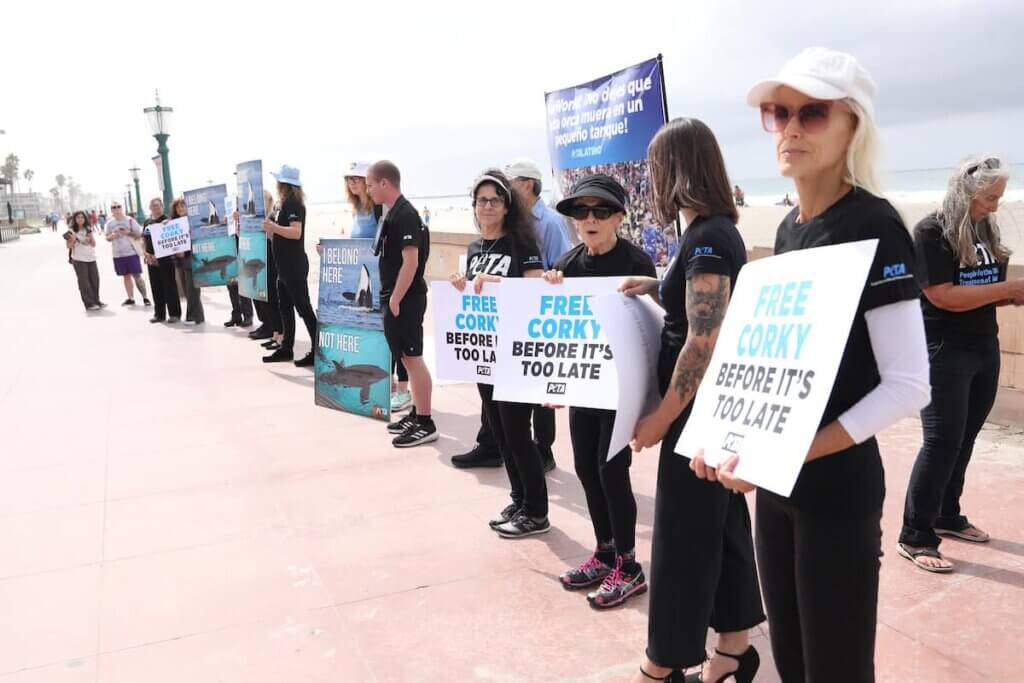 Christopher von Uckermann leading a group of people and holding signs on a sidewalk.