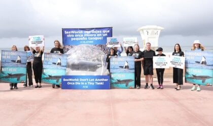 PETA and Christopher von Uckermann protest for Corky the orca