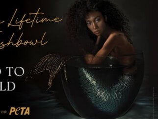 PSA featuring Aoki Lee Simmons in a fishbowl