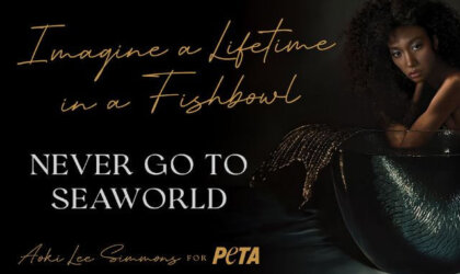 PSA featuring Aoki Lee Simmons in a fishbowl