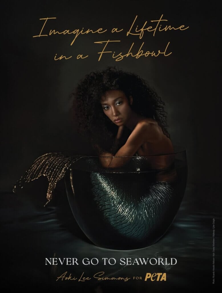 PSA featuring Aoki Lee Simmons in a fishbowl